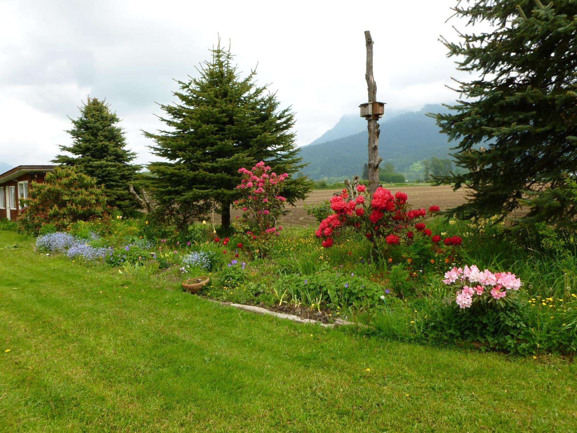 Harrison Hammond House Farmstay Harrison Mills Esterno foto