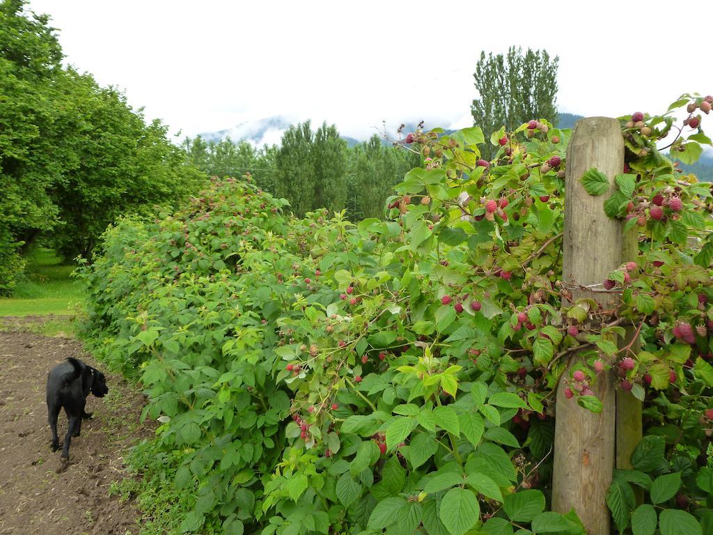 Harrison Hammond House Farmstay Harrison Mills Esterno foto