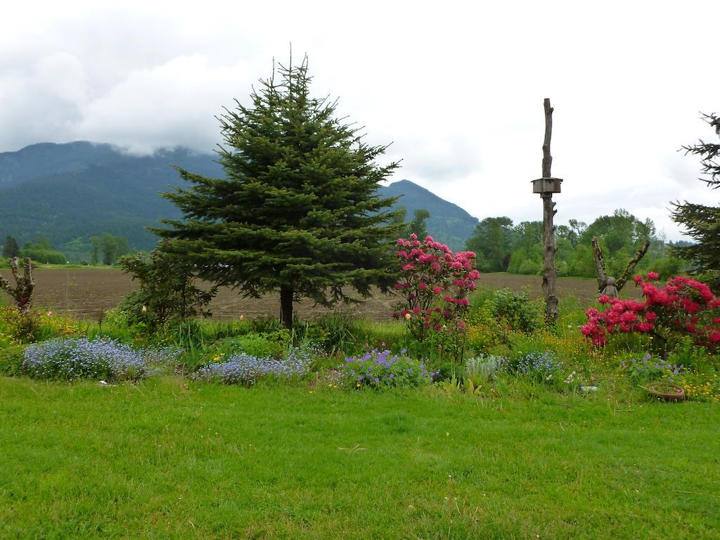 Harrison Hammond House Farmstay Harrison Mills Esterno foto