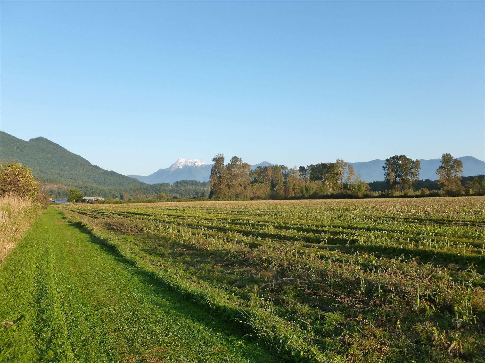 Harrison Hammond House Farmstay Harrison Mills Esterno foto